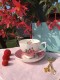 NAUJAS PUODELIS DUO "RETRO ROSE", 1 VNT, KAULINIS PORCELIANAS