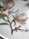 TORTINĖ-PADĖKLAS HUTSCHENREUTHER "MAGNOLIA", 1 VNT, POCELIANAS 