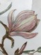 TORTINĖ-PADĖKLAS HUTSCHENREUTHER "MAGNOLIA", 1 VNT, POCELIANAS 