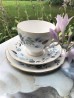 PUODELIS TRIO COLCLOUGH "SUMMER NOSTALGY", 1 VNT, KAULINIS PORCELIANAS 